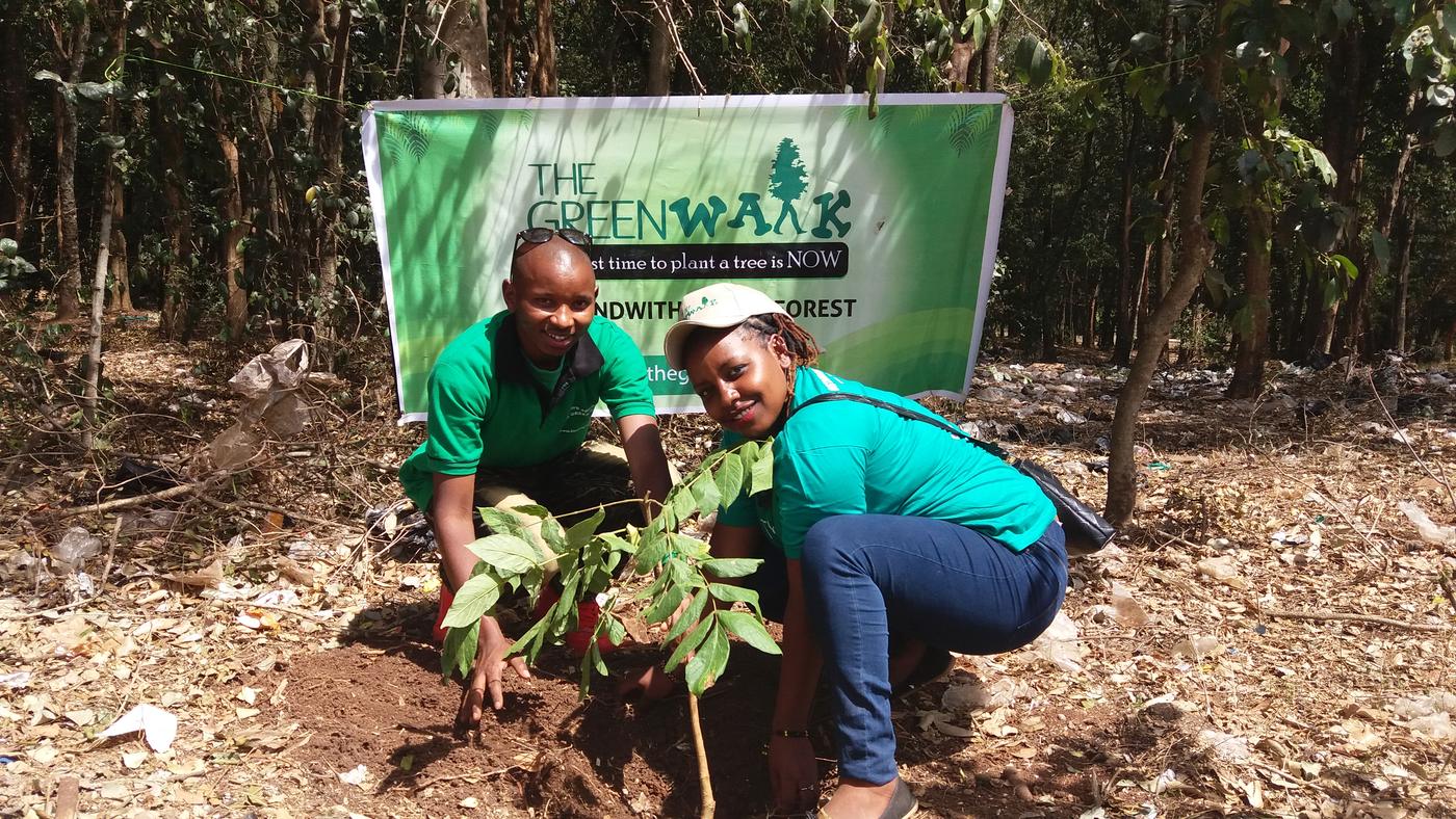 Two volunteers in green T-shirts planting a sapling in front of a The Green Walk banner