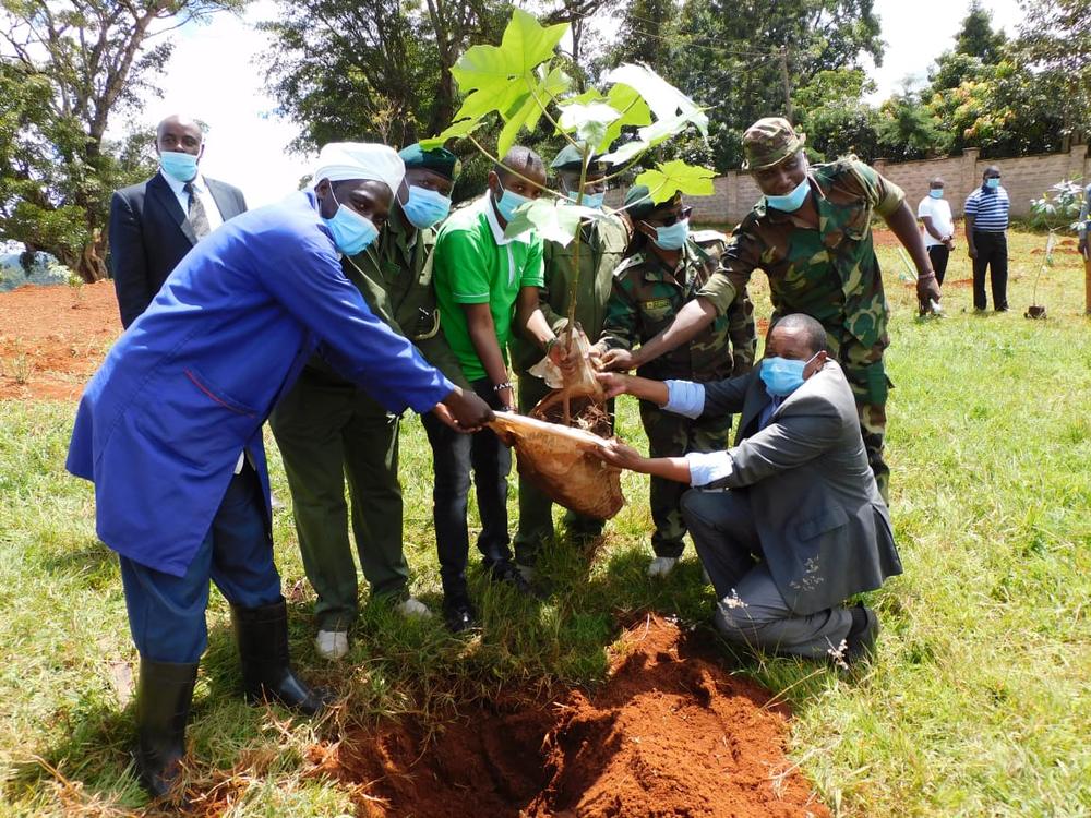 Local leaders and community members planting a tree at Kangema Nature Park